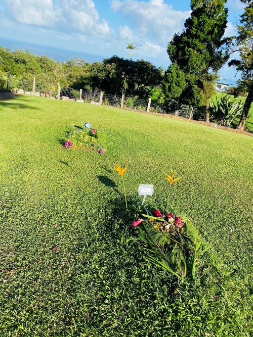 Garden of Paradise
